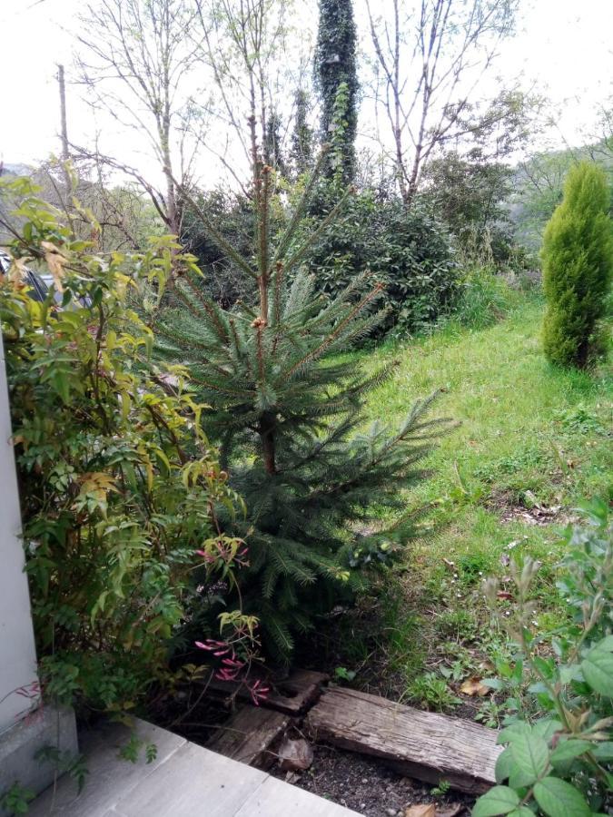 El Rinconin De Degu Villa San Juan de Parres Eksteriør bilde